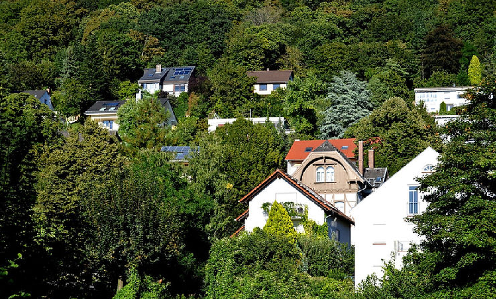 Heidelberger Villen im Grünen auf dem Berg